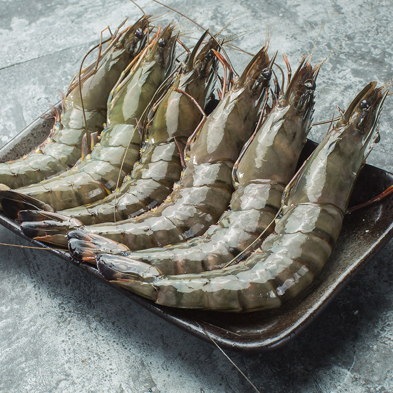 虎虾大虾鲜活超大特大四基围虾明虾冻虾