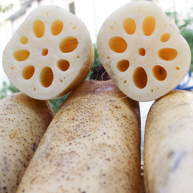 洪湖莲藕新鲜粉藕带泥现挖九孔煲汤糯米红藕莲藕