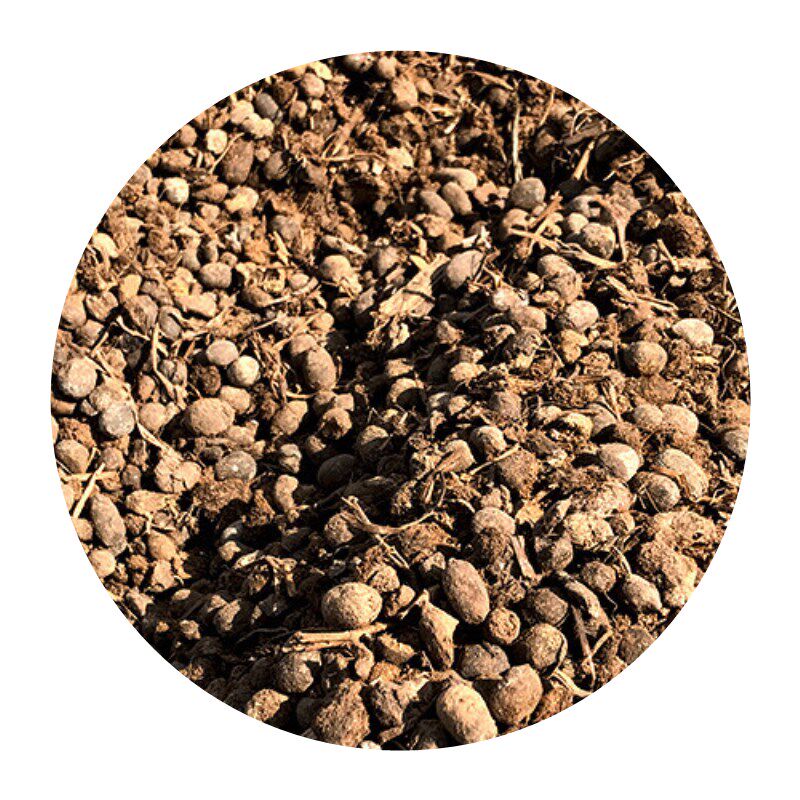 羊粪花肥肥料有机肥发酵纯羊粪蛋风干蔬菜瓜果花盆