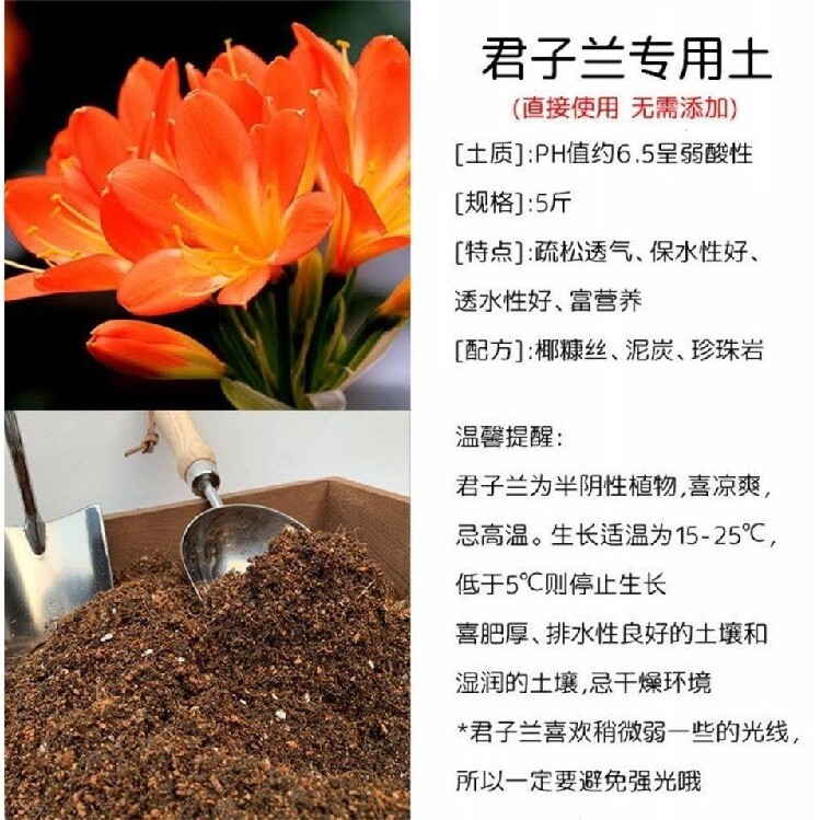 君子兰专用透气营养植料椰糠泥炭土家家用盆栽花盆
