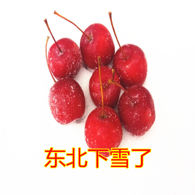 花红顺丰包邮东北果冻海棠果冻海红海酸甜冰冻海棠果