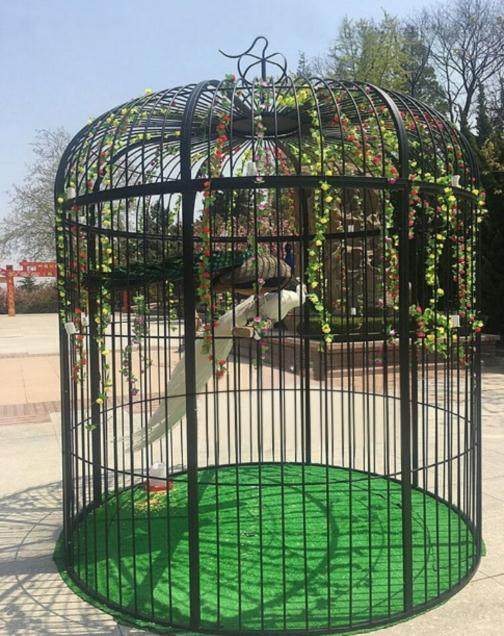 广场金属网鸟笼酒店别墅果园鸽子造型鸟用白色鸟笼