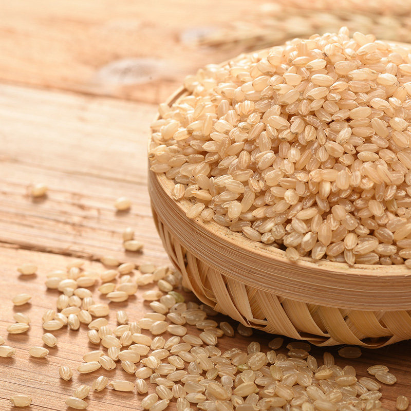 健身包邮白糙米饭新米粗粮低脂五谷杂粮胚芽糙米