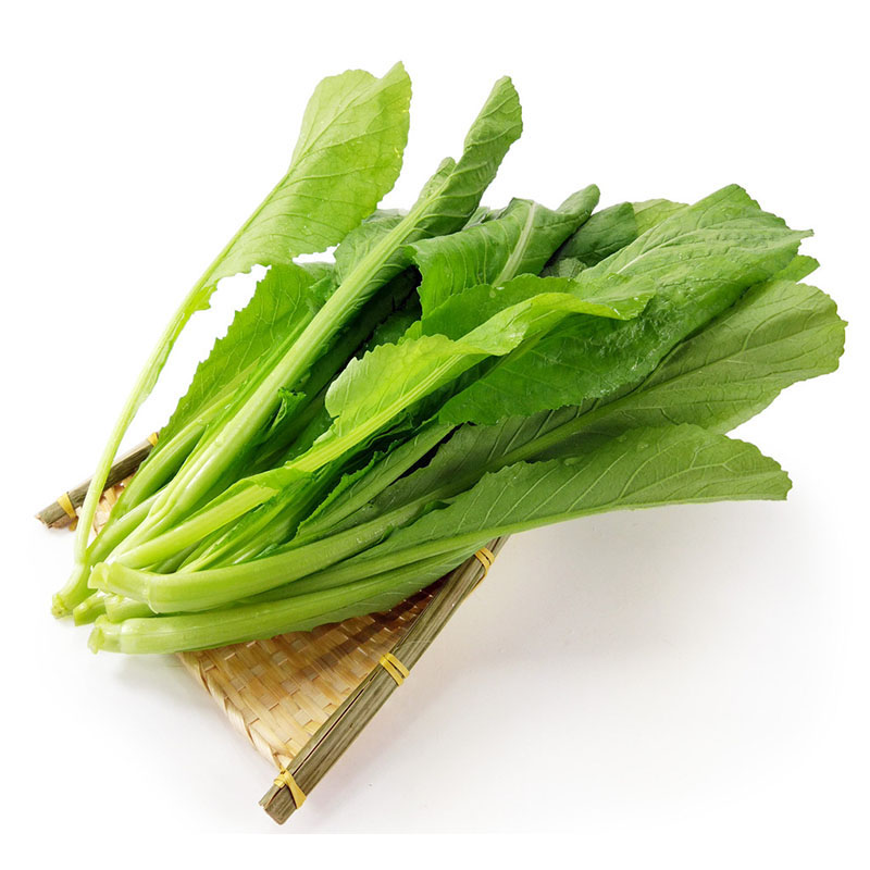 香叶饺子菜种籽叶芥菜种籽青菜种子雨桐种业春夏秋冬四季播叶种子