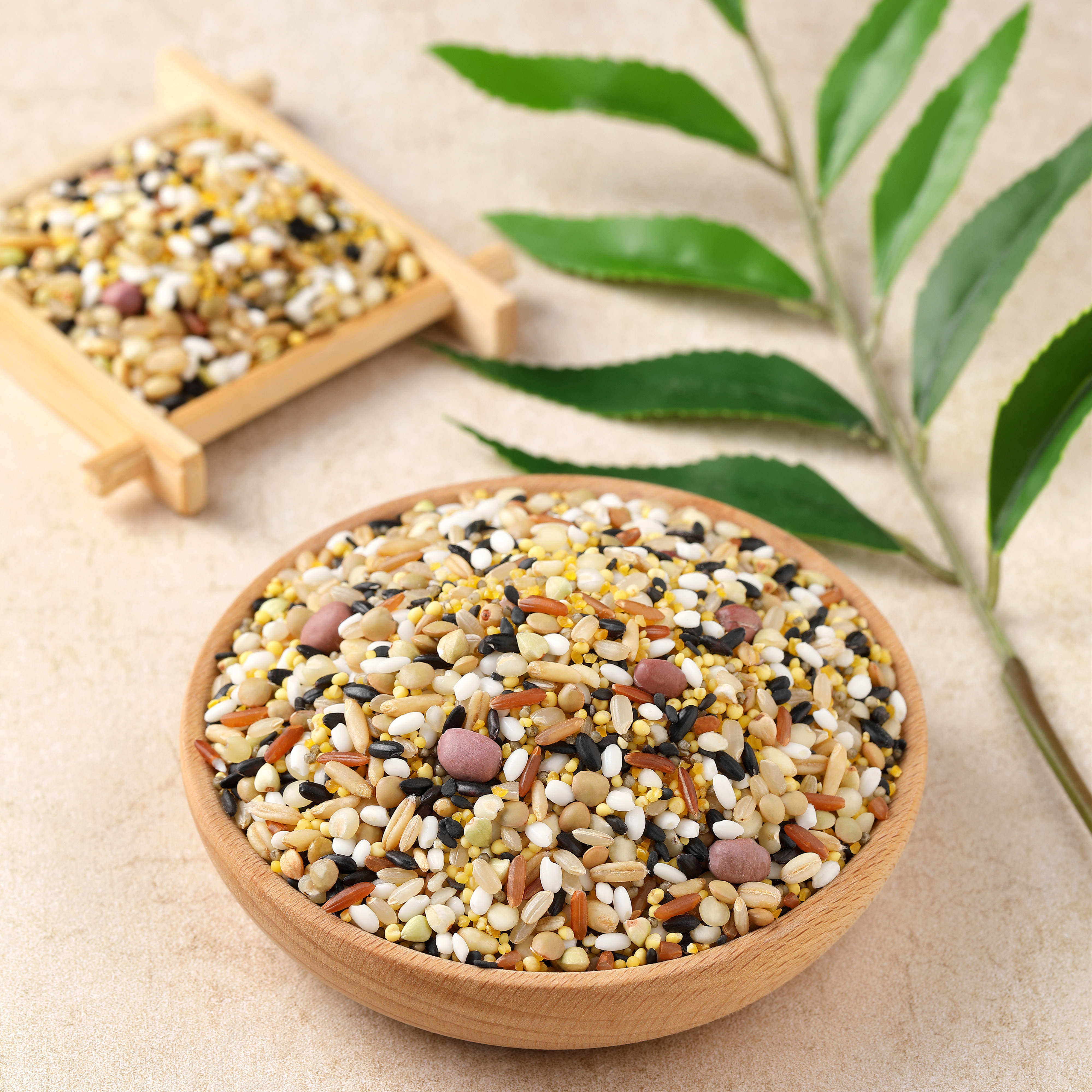 十五五谷大米饭伴侣500g懒人轻食15种谷物组合大米