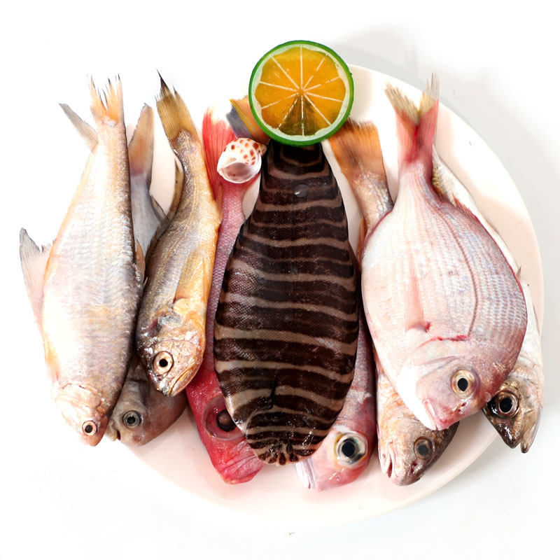 东海野生海杂鱼3斤装新鲜海鱼海虾宁波舟山新鲜水产鲜活套餐组合