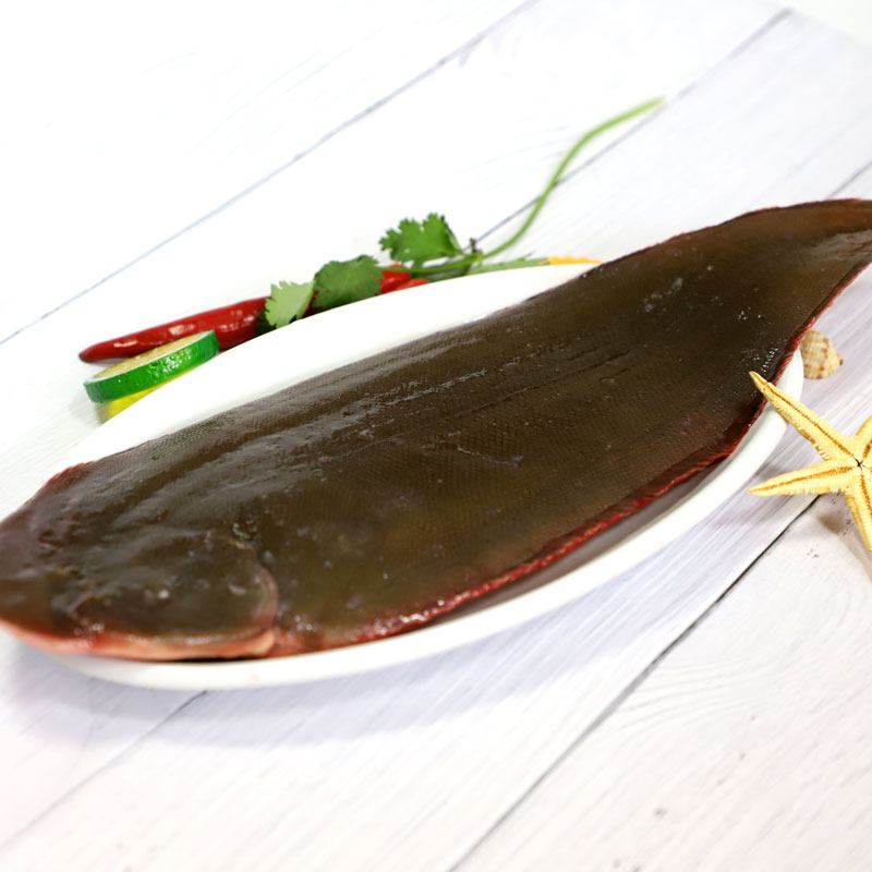 新鲜野生玉秃鱼龙龙利比目鱼踏板舌头邋遢宁波其它