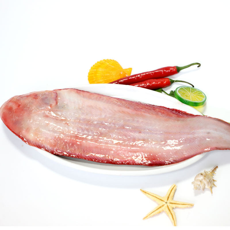 新鲜野生玉秃鱼龙龙利比目鱼踏板舌头邋遢宁波其它