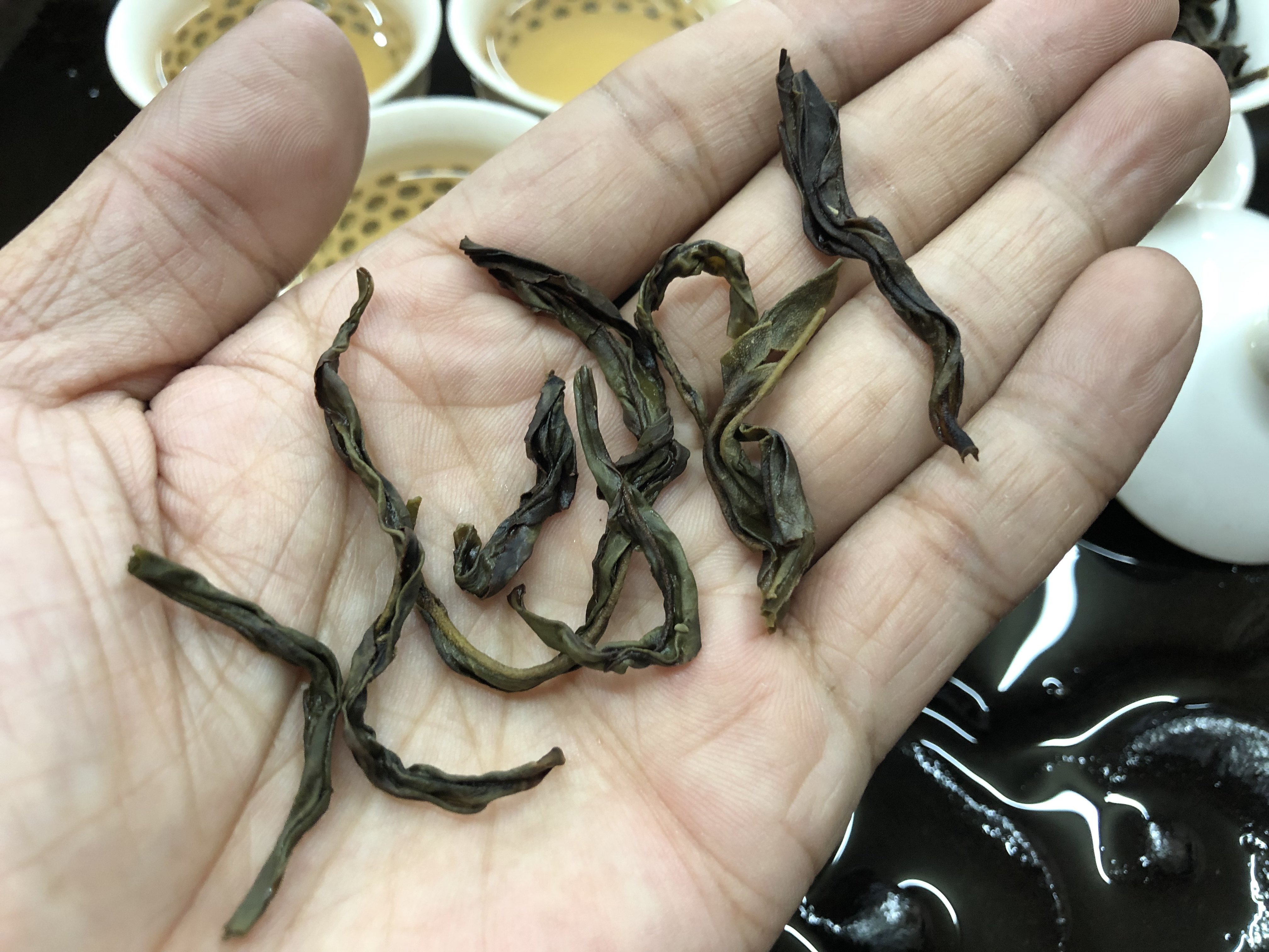 利豪大乌叶香型花香超浓炭焙老枞大乌叶老枞茗茶秋季凤凰单丛