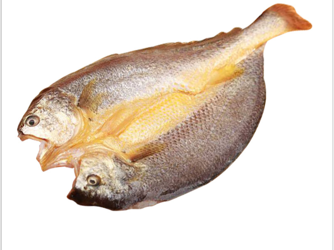 东海特产野生大黄鱼醇香脱脂黄鱼咸鱼新鲜黄花鱼海黄鱼