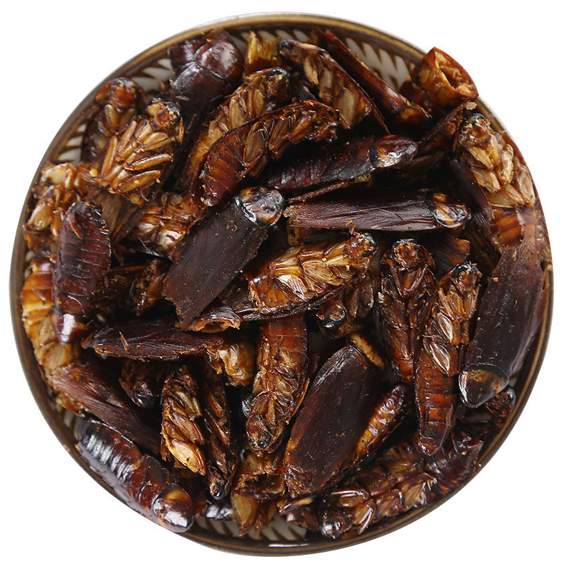 蟑螂小强黄嚓油婆娘黄婆娘偷油太医野生药用500g其他药食同源食品