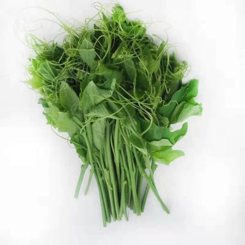 新鲜洋瓜云南蔬菜扶瓜佛手瓜尖2斤现摘发货叶菜类