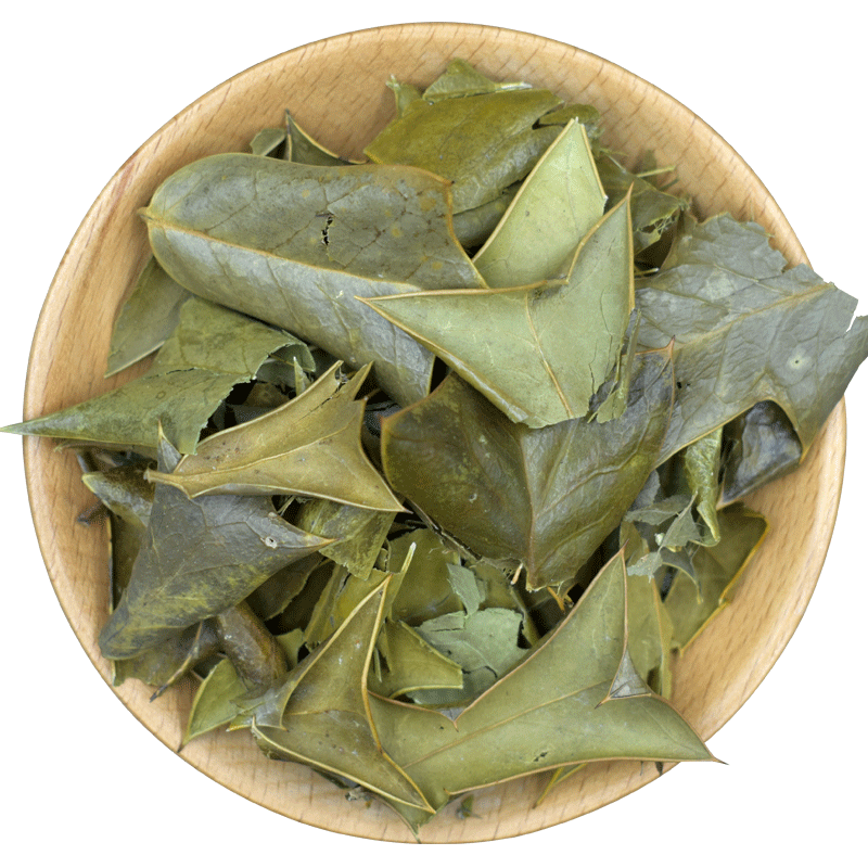 枸骨叶250g中药材功劳叶茶狗羊角正品猫儿老鼠精品其他药食同源食品