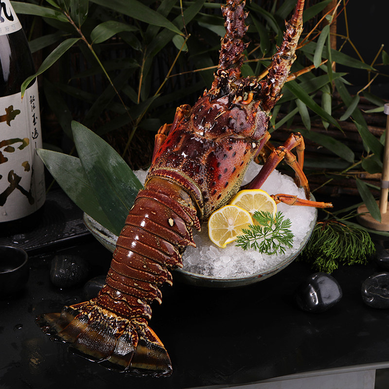 古巴龙虾礼盒 大花龙虾 大青龙 澳洲大龙虾新鲜冷冻海鲜水产 送礼