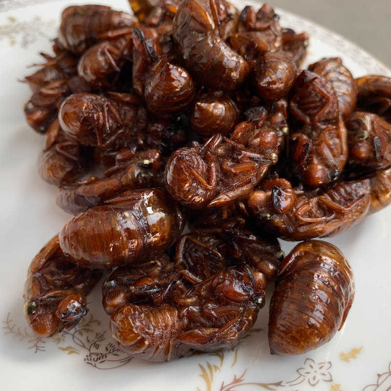 【开袋即食】油炸知了猴昆虫金蝉熟知了龟唐僧肉野味蝉蛹椒盐20只