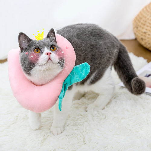 猫耻辱脖圈伊丽莎白圈猫咪软布项圈脖套防舔绝育后用品可爱头套