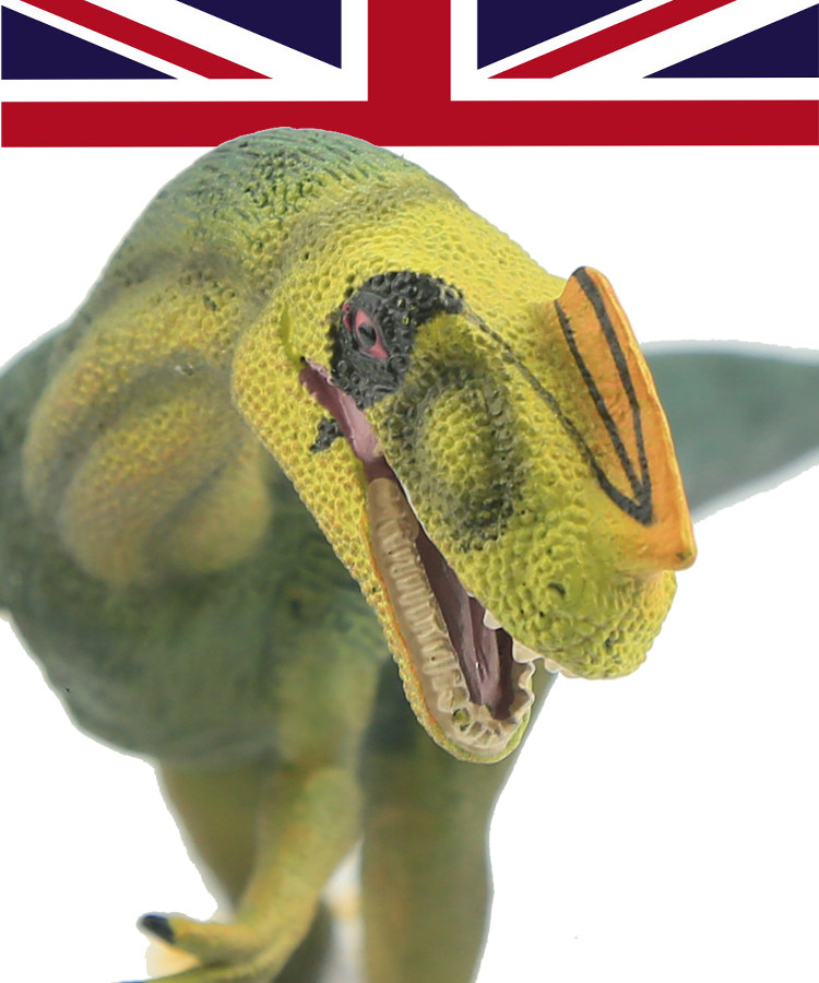 英国collecta我你他仿真恐龙模型玩具原角鼻龙88504