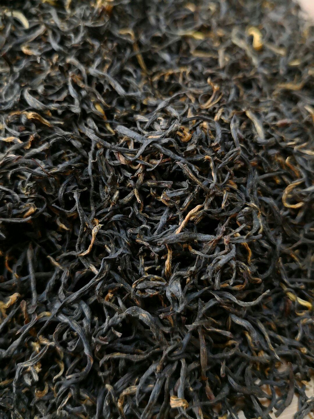 2022新茶竹海宜兴野山红茶阳羡特级高山野生其它红茶