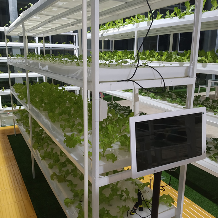 无土栽培水培设备温室大棚建设苗床水床智能种菜智能园艺用品
