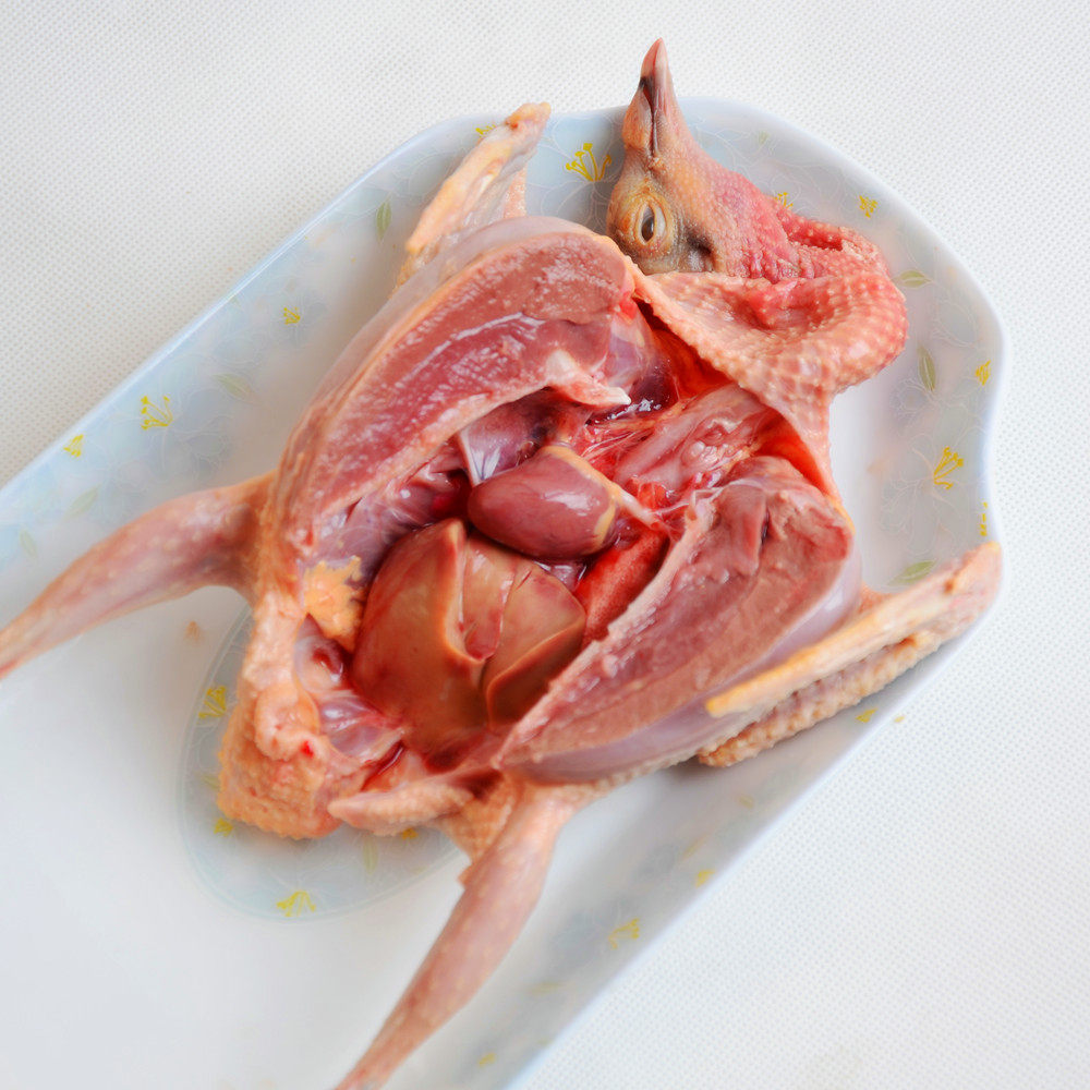 鸽子无忧餐桌农家放养野外生长土鸽新鲜肉老其它