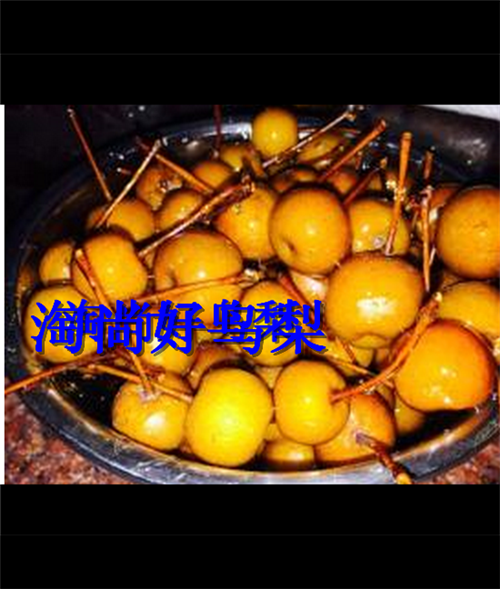 广东包邮腌制鸟梨拍潮汕小吃酸甜特产新鲜水果其它干货