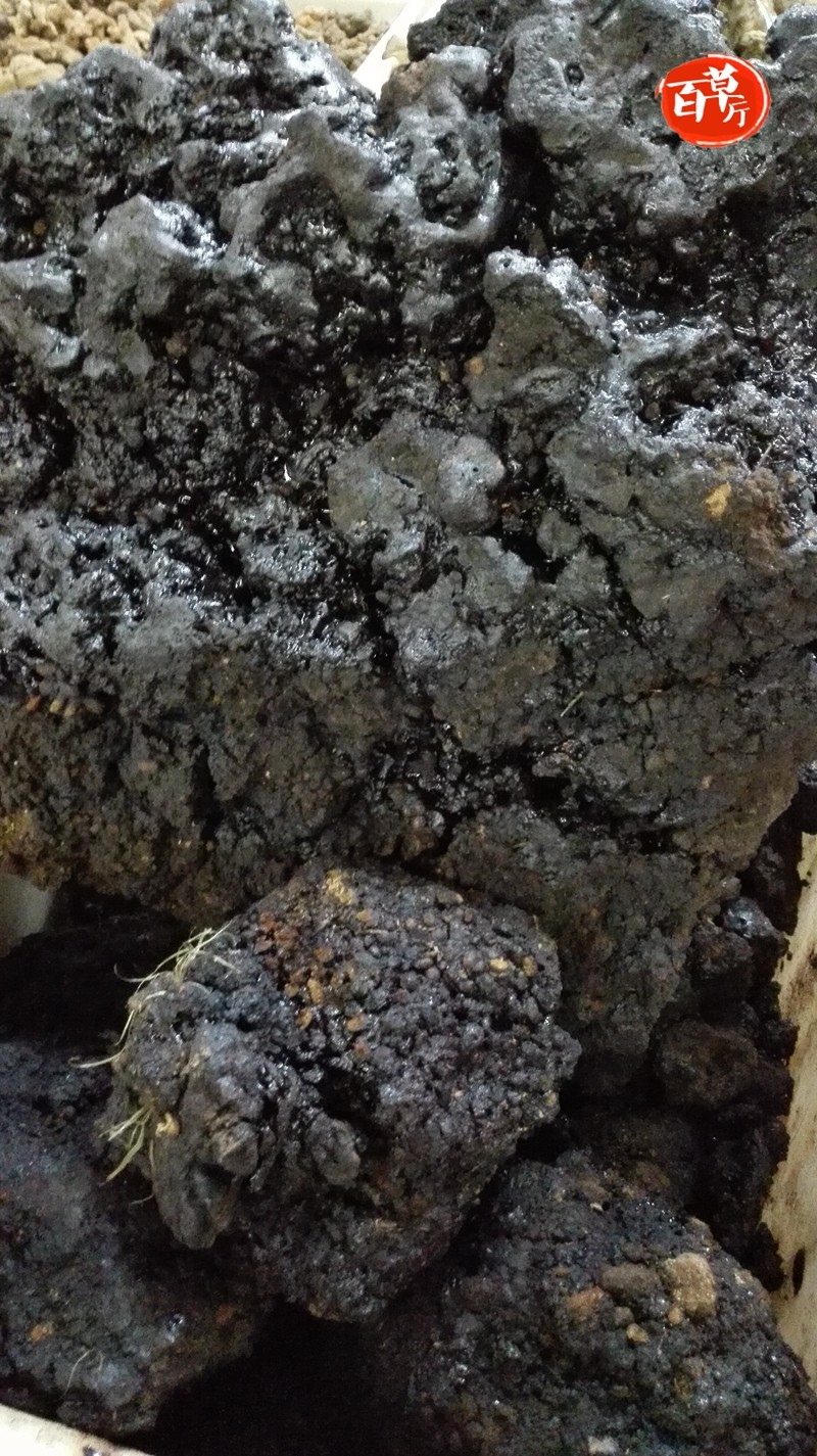 猴结猴竭血灵芝血灵脂500克包邮