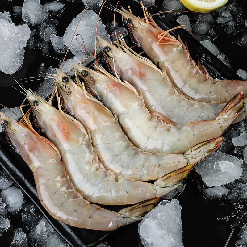 青岛大明虾鲜活超大海捕虾对虾鲜虾特大冷冻整箱虾类海鲜水产包邮
