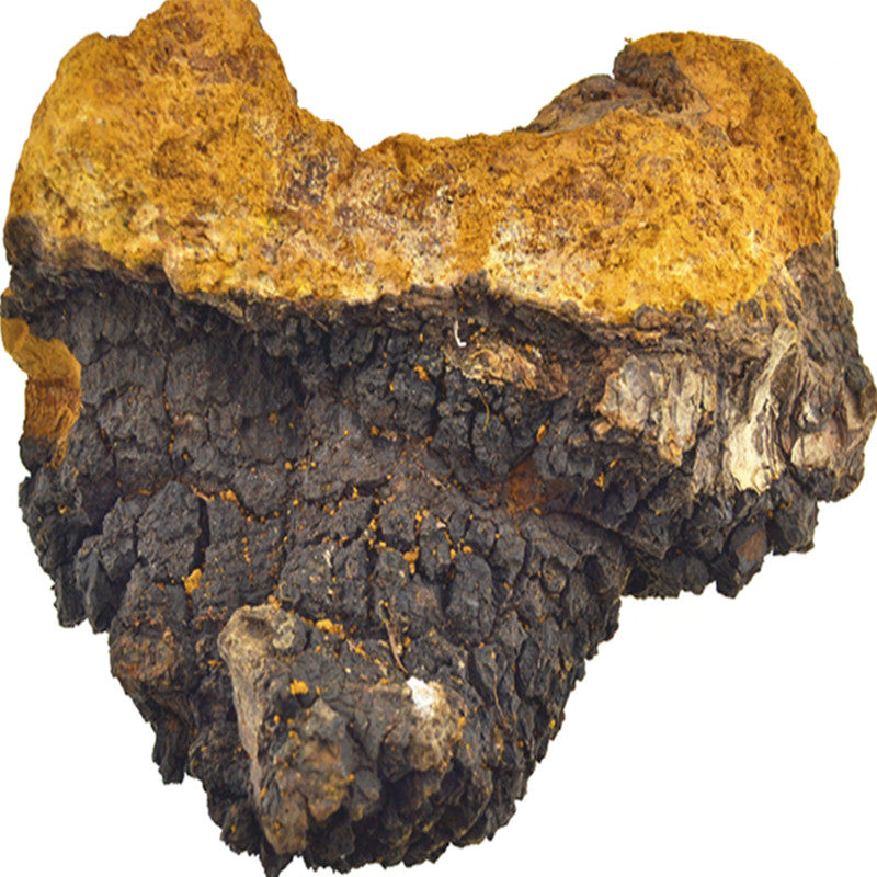 灵芝兰盛西藏特产桦褐孔片磨500克包邮整枝灵芝