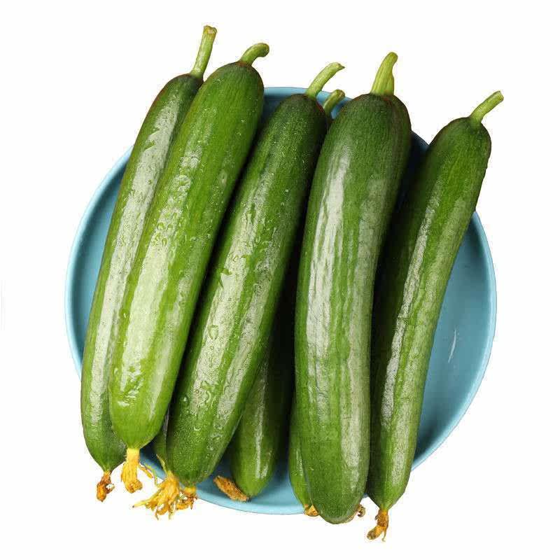 新鲜现摘现发寿光产地水果小黄瓜美味可口