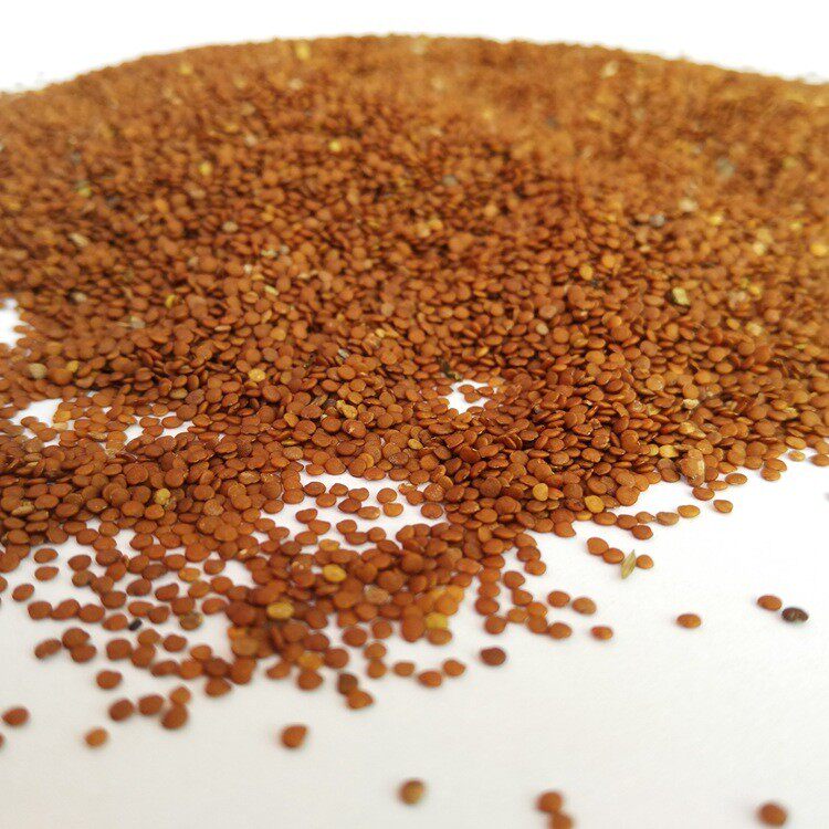 冰粉籽送石灰量勺搓布40-50斤5斤起送布袋手工天然粉粉食品