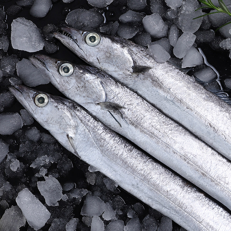 带鱼新鲜冷冻东海海的5斤812条海鲜水产鲜活带鱼