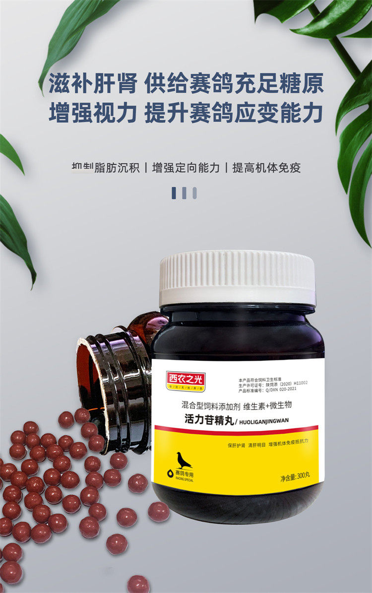 西农之光鸽药活力苷精丸保肝护肾赛信鸽鸽子医疗用品