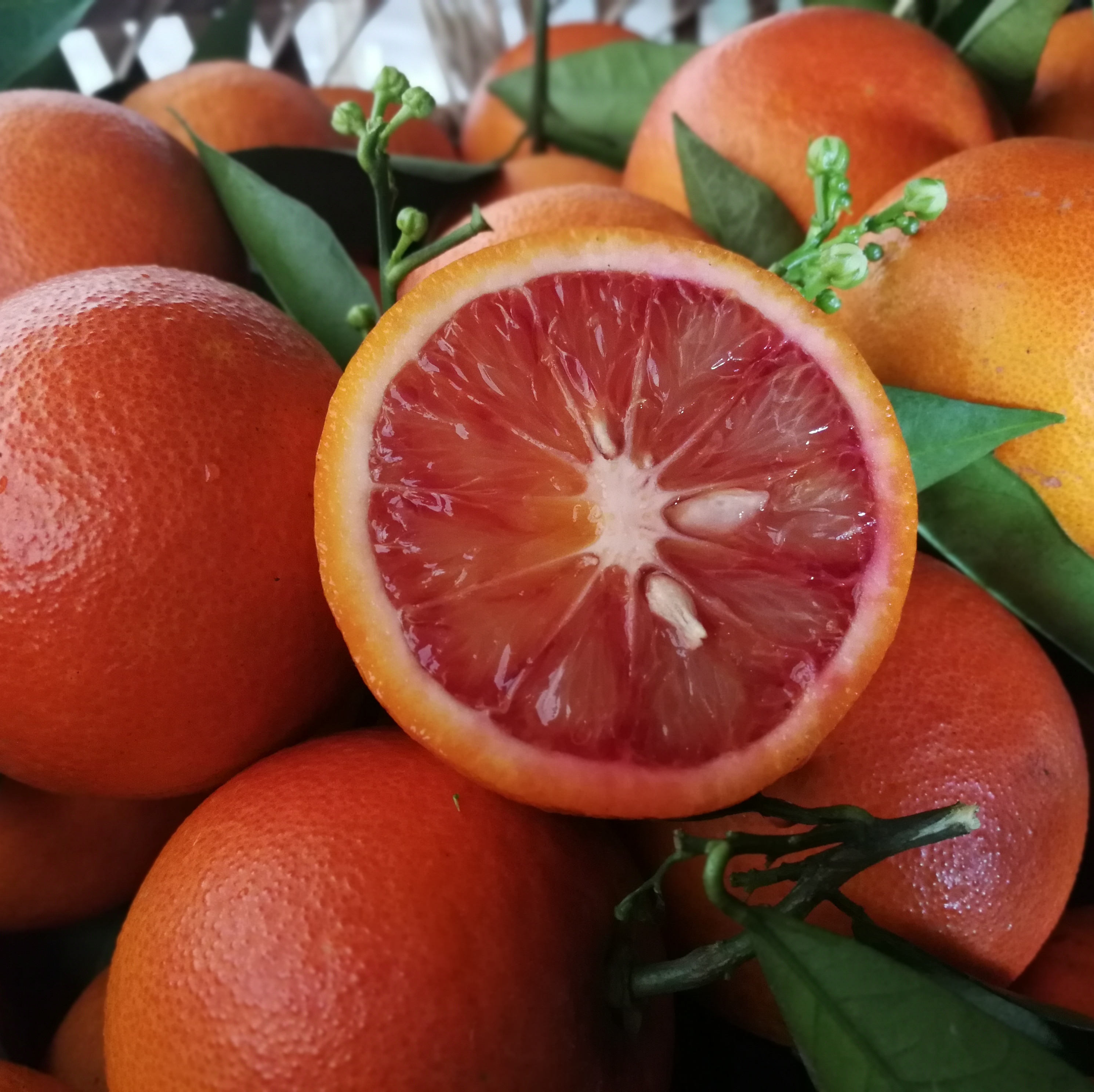 万州玫瑰血橙新鲜水果10斤塔罗香橙重庆长寿湖橙
