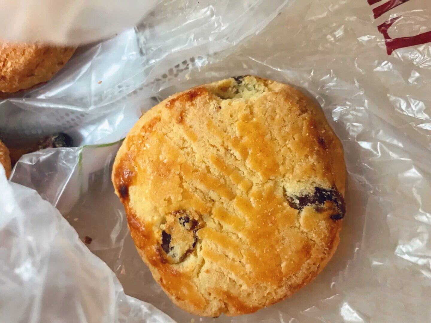 西饼老莫葡萄奶酥老北京城乡传统糕点网红北京传统糕点