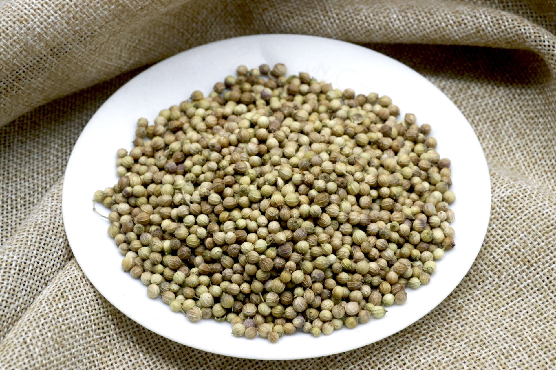 香菜种子大叶菜籽芫荽四季蔬菜味浓耐热散装蔬菜种子