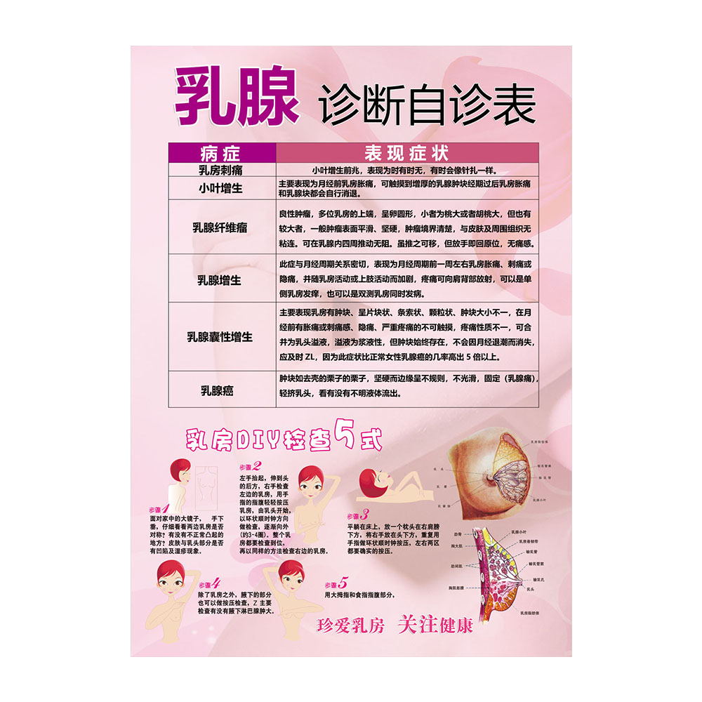 关爱乳腺乳房胸部诊断自诊表自查解剖图养生活动宣传