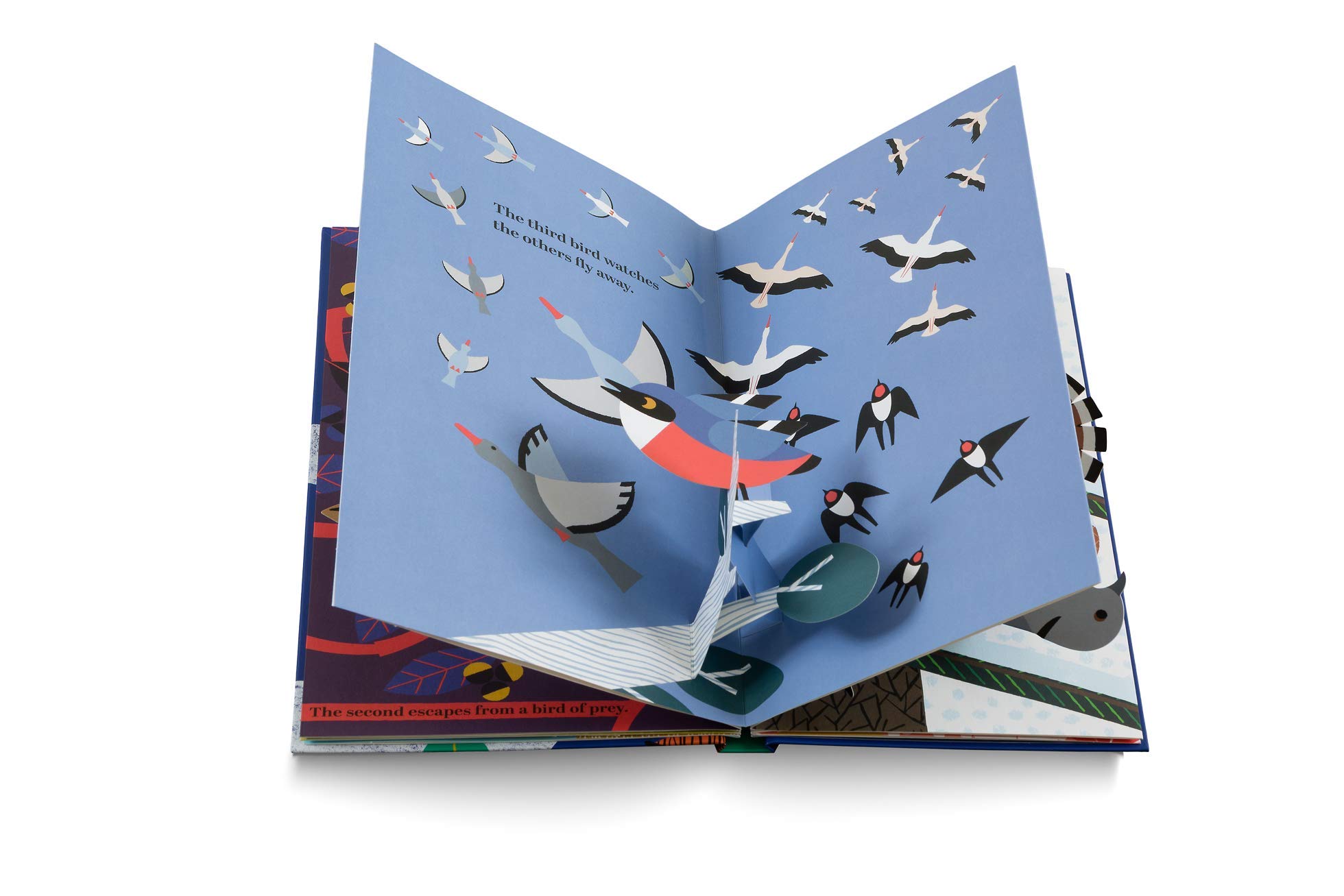 英文原版 六只小鸟 儿童艺术立体书 six little birds