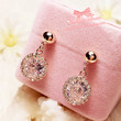 925 sterling silver earrings Fashion atmospheric super glitter rose gold exquisite vermiculite pendant drill earrings earrings earrings 925 sterling silver earrings Fashion atmospheric super glitter rose gold exquisite vermiculite pendant drill earrings earrings earrings