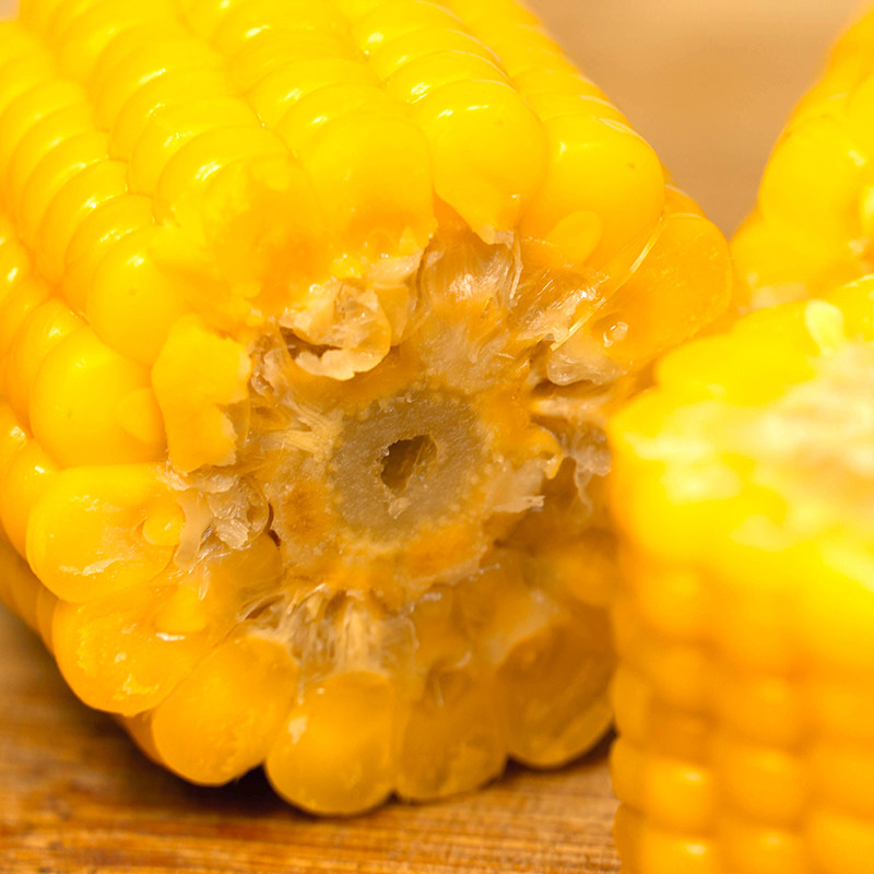 新品绿新鲜转基因玉米棒甜糯速冻东北富硒东晟老面玉米