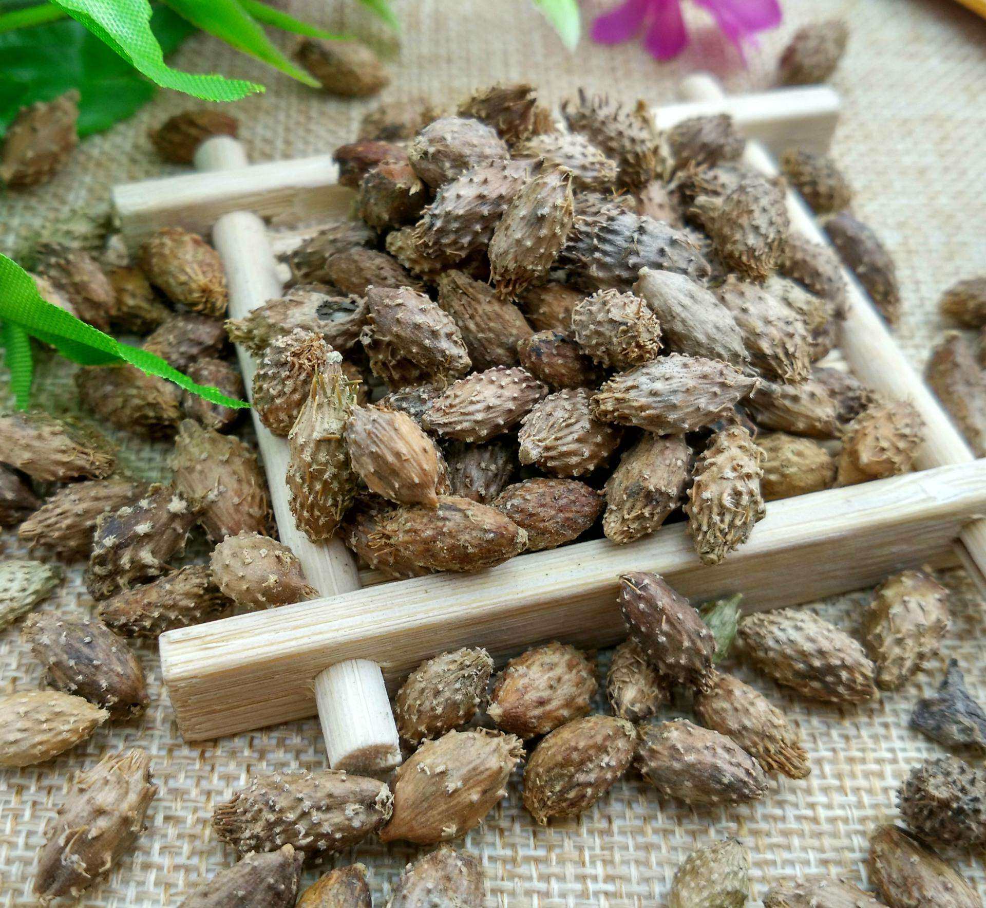 苍耳野生泡脚仓耳中药材正品500g包邮荆棘老鼠其他药食同源食品