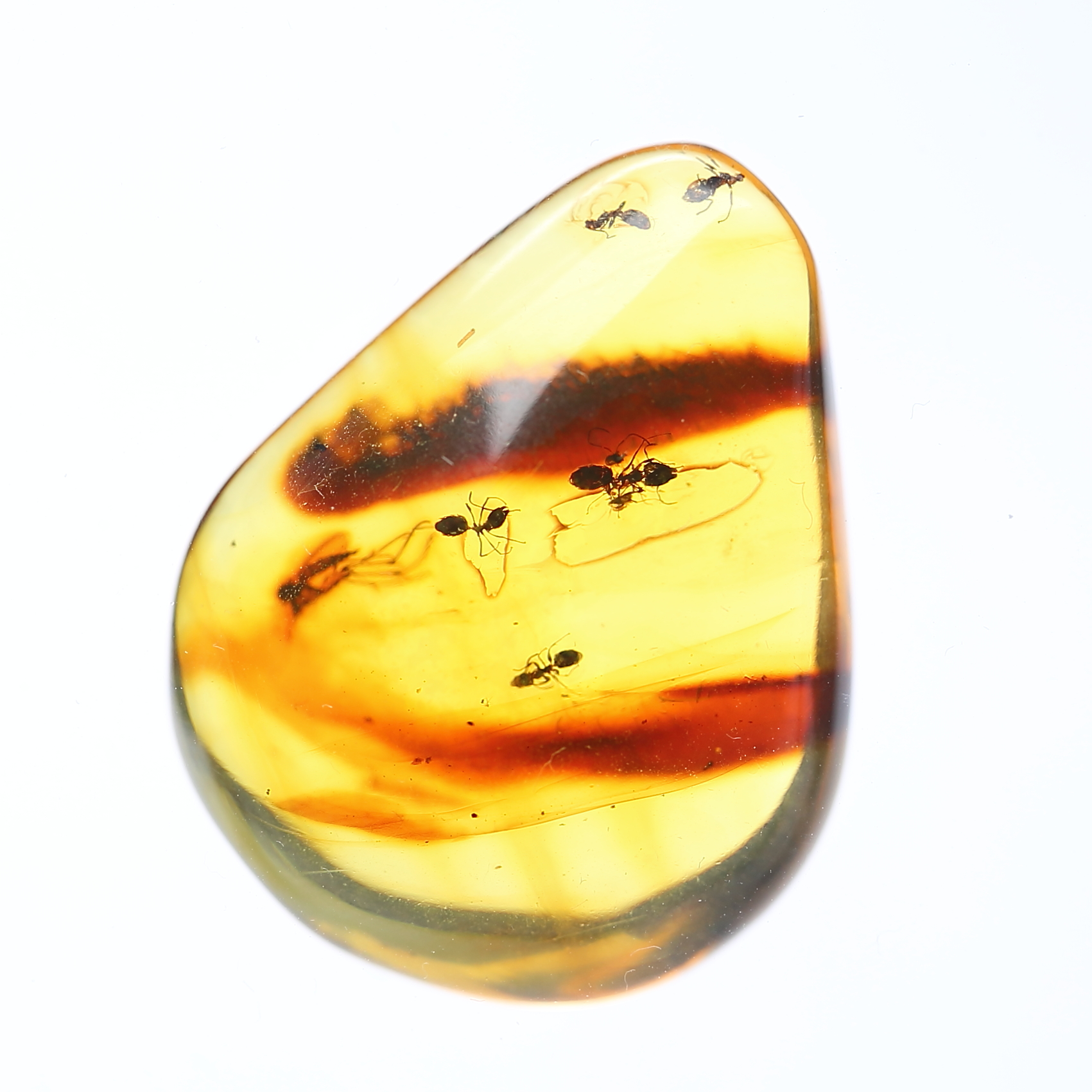 天然琥珀虫珀吊坠项链昆虫标本蜘蛛蚂蚁原石颈饰