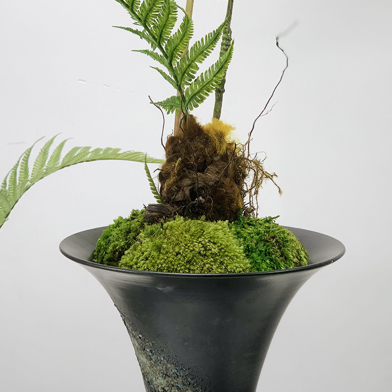 新中式样板茶桌茶室禅意绿植蕨树金毛金丝猴仿真仿真植物盆景