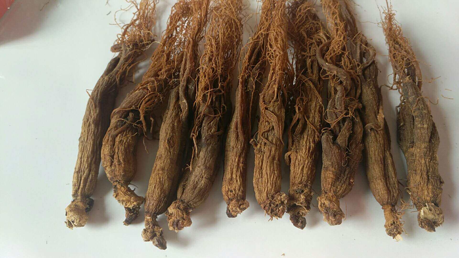 长白山原皮无糖红参全须半斤10支老红参免费切片磨粉包邮