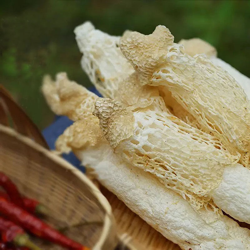 湘西特产农家晒制一级短裙竹荪50g包邮现货竹荪