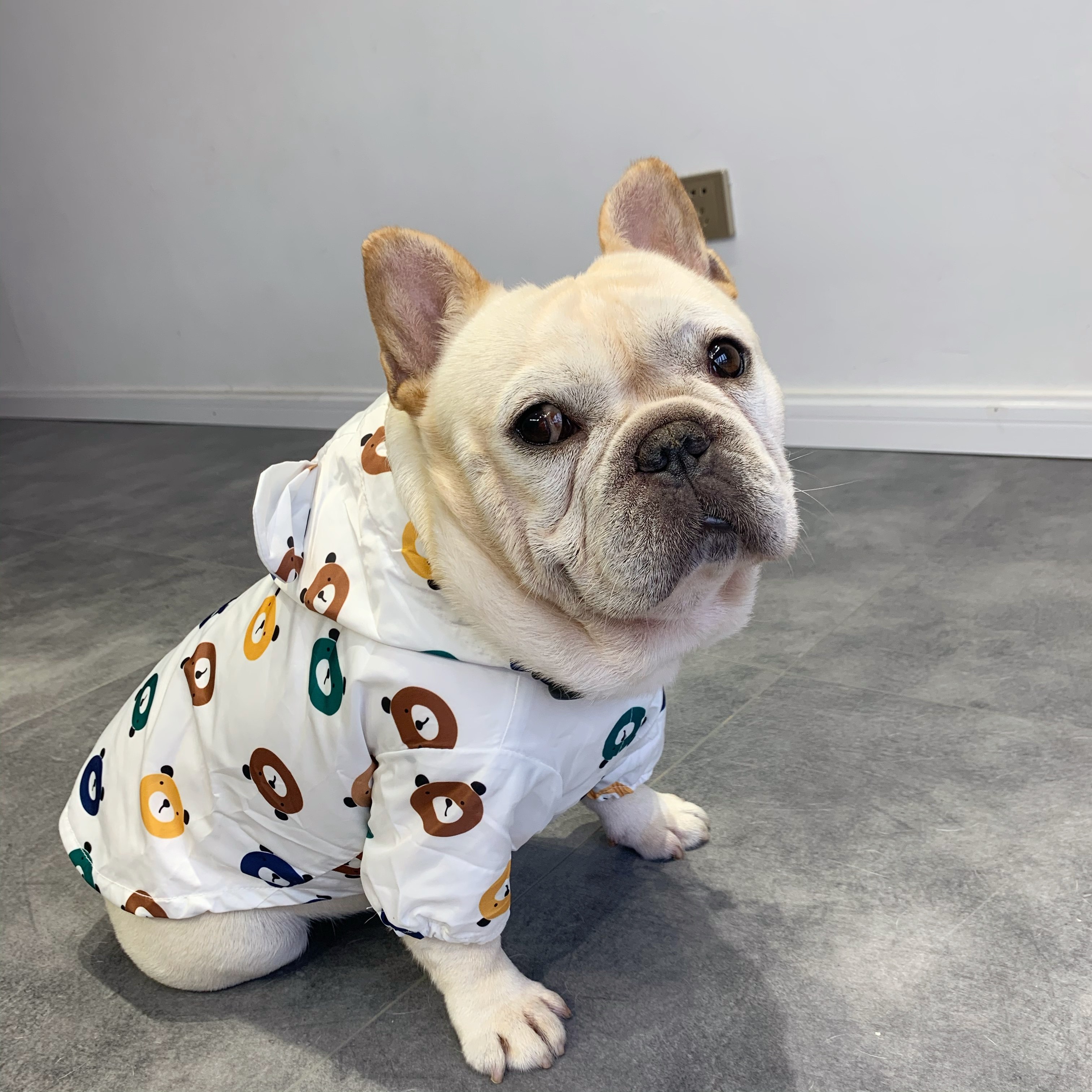 法斗雨衣宠物宠物狗狗狗可爱小熊雨披泰迪巴哥宠物服装