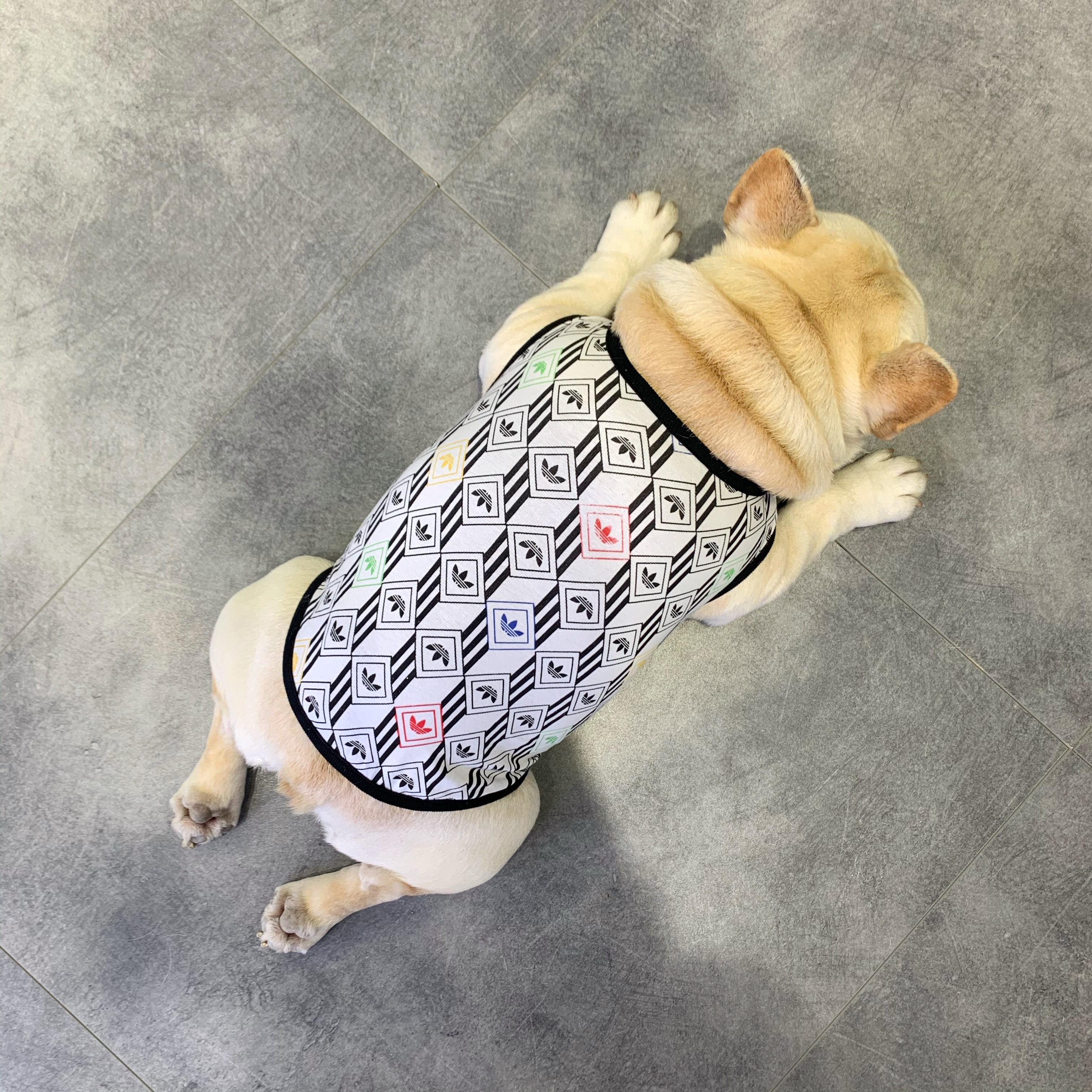 夏季薄款法斗狗狗衣服法国斗牛犬英斗柯基巴哥犬小型宠物纯棉背心