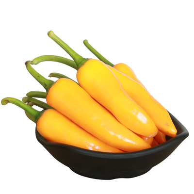 小米500g永安黄椒正宗朝天椒椒福鼎黄辣椒辣椒魔鬼其它