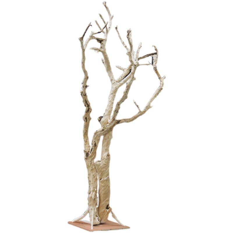 天然元宝造型石榴枯树树干去皮漂白白干树枝干花