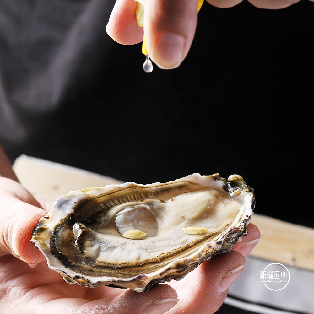 空运进口法国鲜活伯特特生n224只木箱黑珍珠生蚝