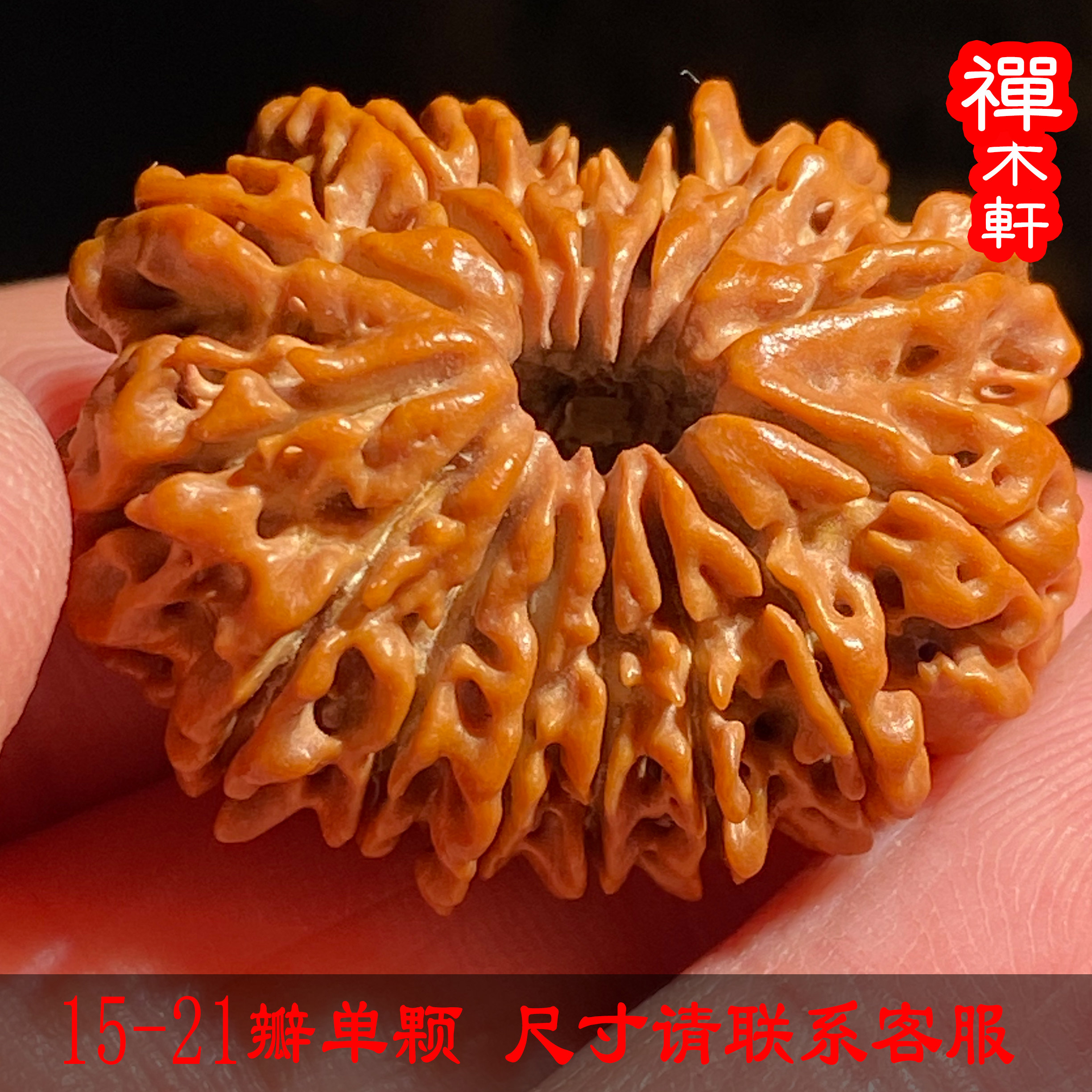 尼泊尔多瓣十五16瓣21瓣稀有大金刚菩提提子单颗散佛珠